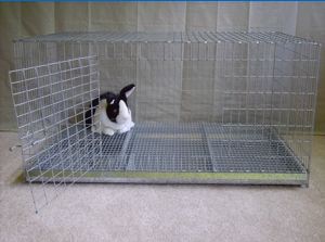 Photo of HRRN Custom-Built Cage without a loft
