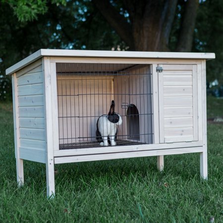Outside is no place for a rabbit | Rabbit Information and Resources | House Rabbit Resource Network
