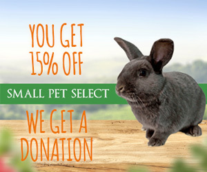 Small Pet Select Hay for Your Rabbit | House Rabbit Resource Network
