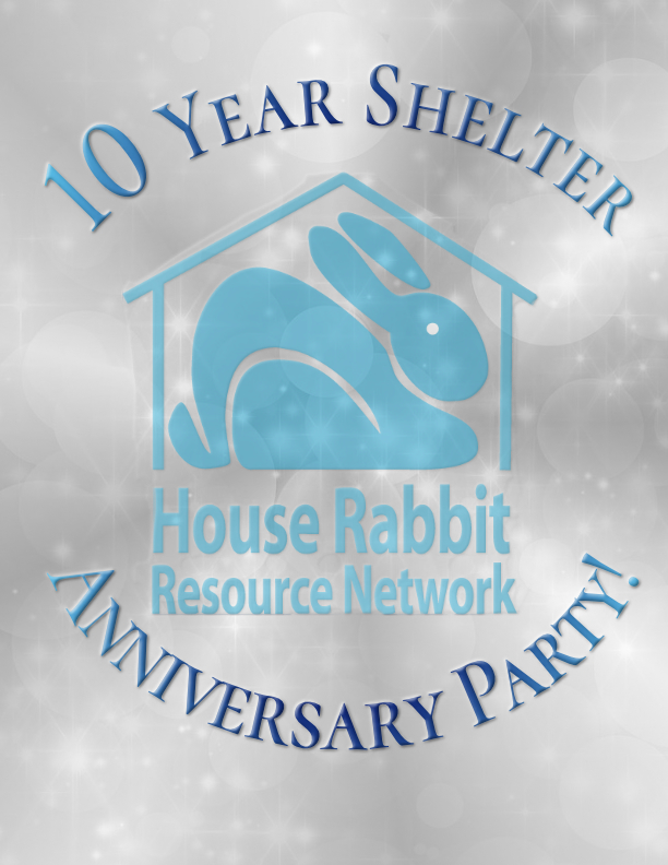 10 Year Shelter Anniversary Party