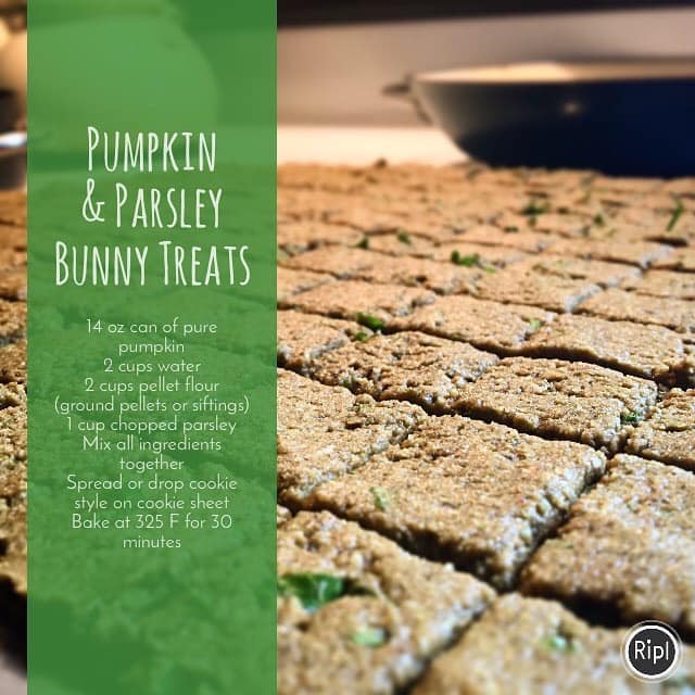 Bunny Treat Recipes | Healthy Treats for Your Bunny | House Rabbit Resource Network