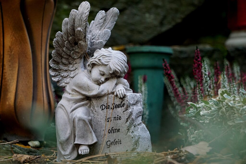 Rabbit Loss and Grief