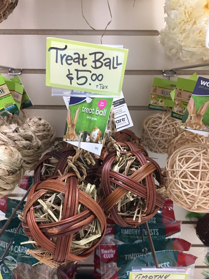 Treat Ball