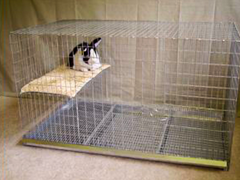 hrrn custom-built rabbit cage
