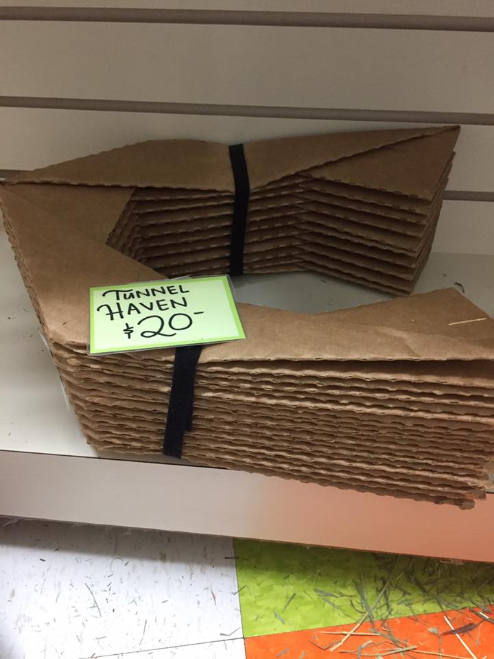 Cardboard Tunnel