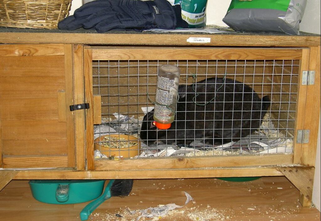 Example of a bad cage