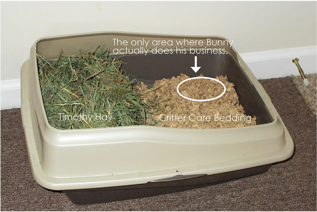 Photo of a good litter box placement of hay