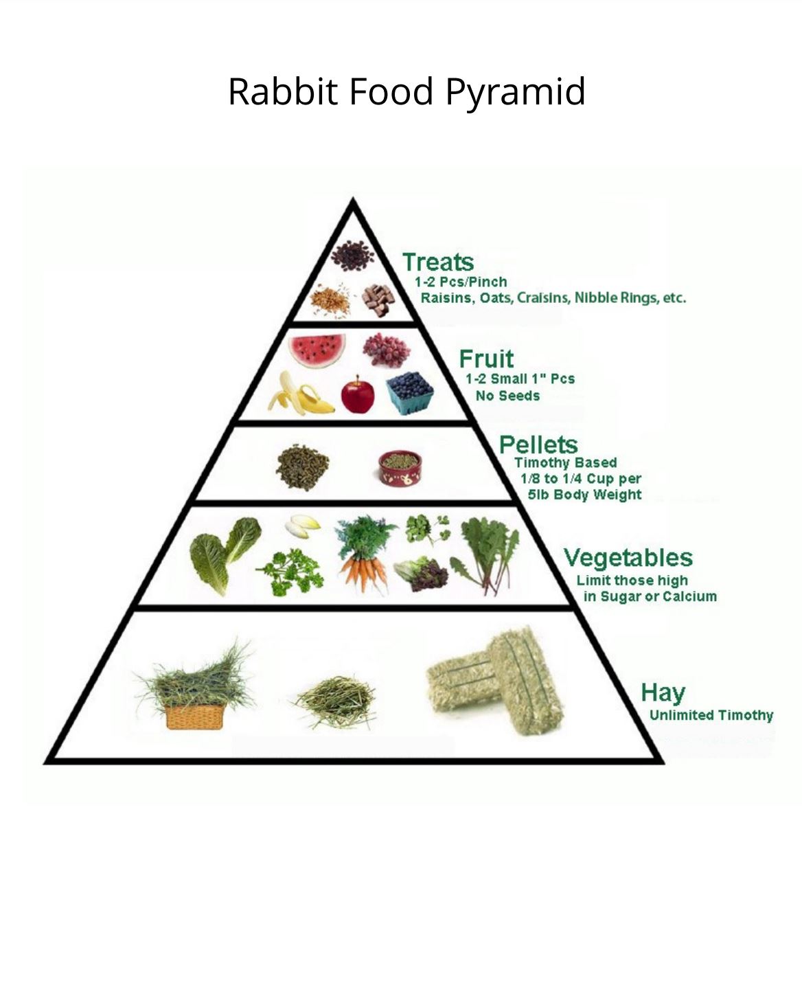 What rabbits eat diet pyramid