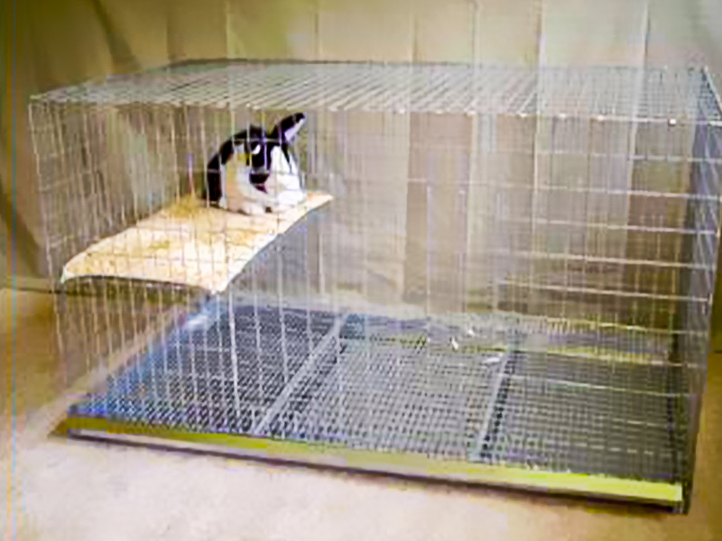 HRRN Rabbit Cage Model