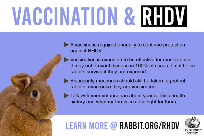 PHDV2 vaccine graphic