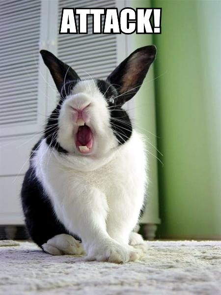 Bunny Meme with a bunny yawning and the text reading "attack"!