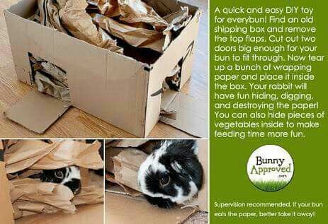 Cardboard box for digging and chewing