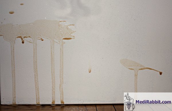 Photo of urine sprayed on the wall marking territory