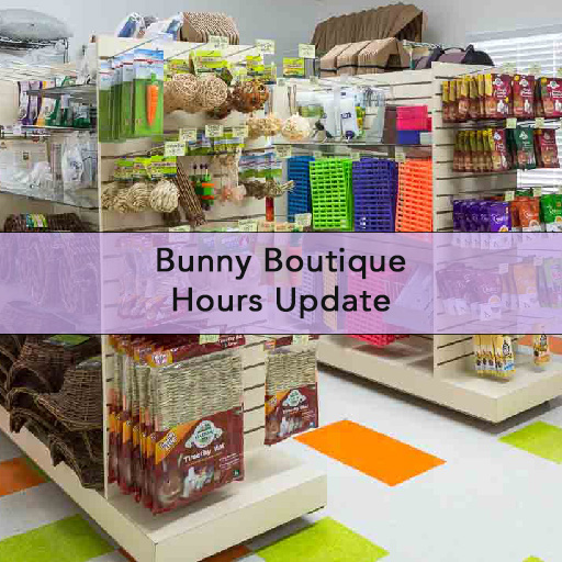Bunny Boutique Hour Update