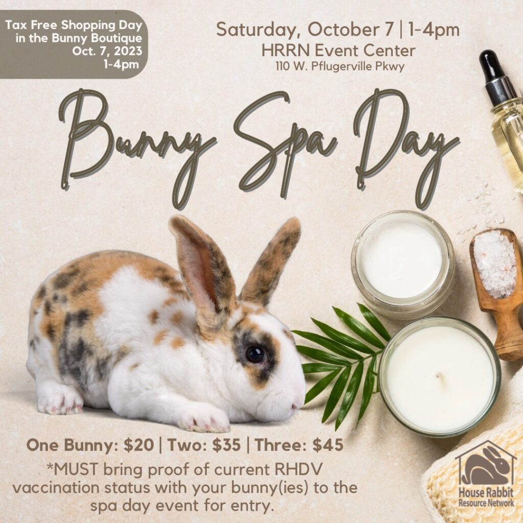 2023 Bunny Spa Day, October 7 from 1-4pm