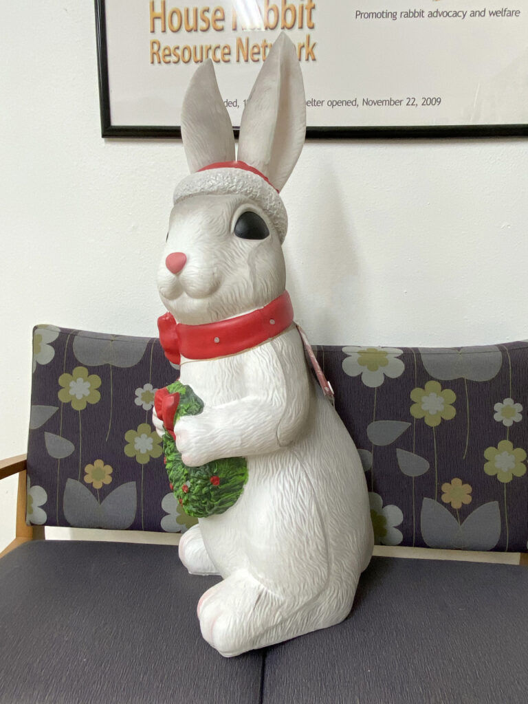 Holiday Rabbit Decoration Raffle