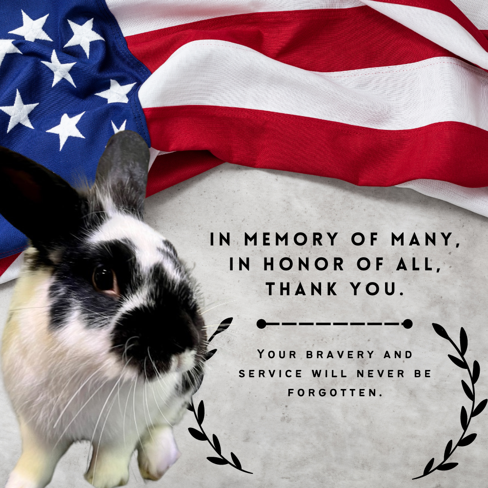 Bunny Boutique will be closed on Memorial Day.