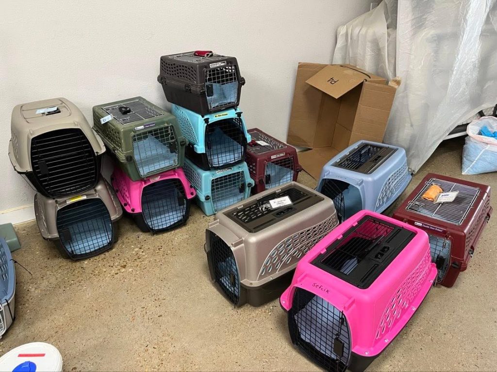 HRRN carriers all set up for transport of the bunnies.