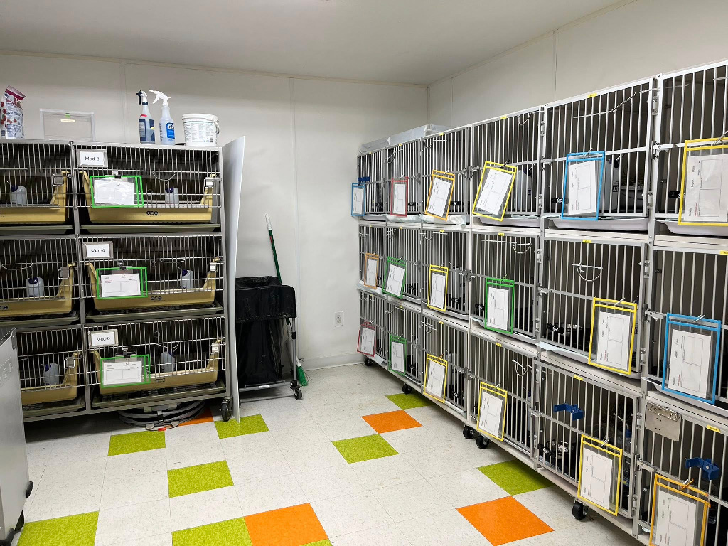 HRRN Medical Bay all set up to accept all the bunnies.