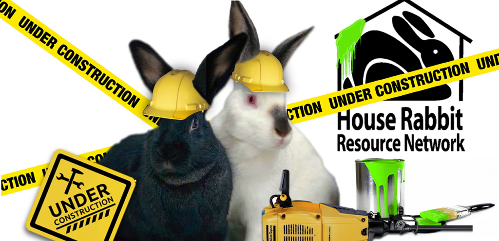 Coming soon! This page is under construction.