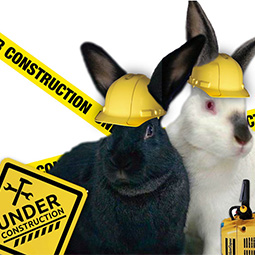 Under Construction