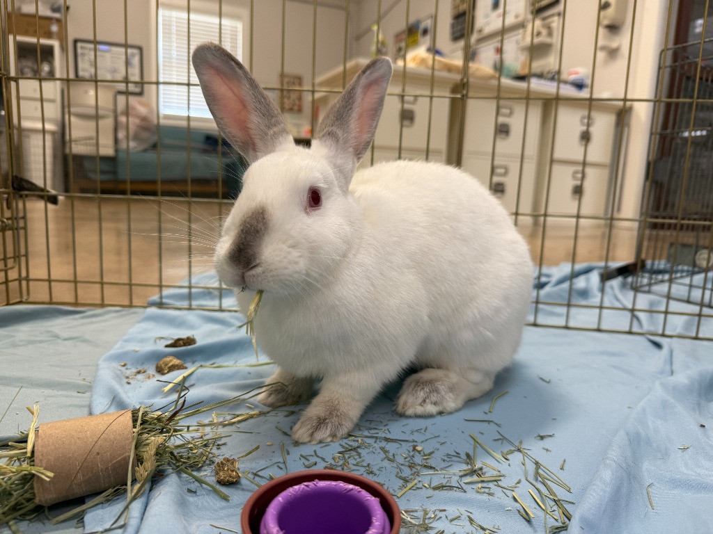 Giving Tuesday: December 2, 2025