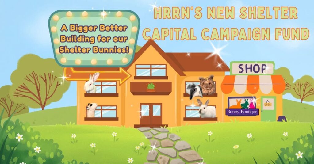 New Shelter Fundraiser