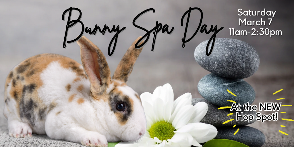 Bunny Spa Day March 2026