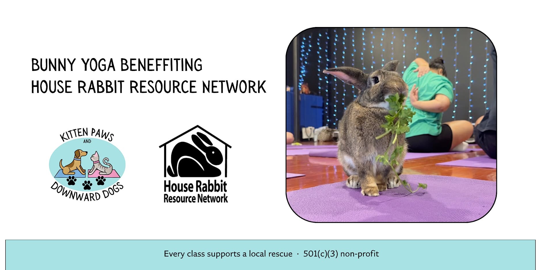 Bunny Yoga: August 2026