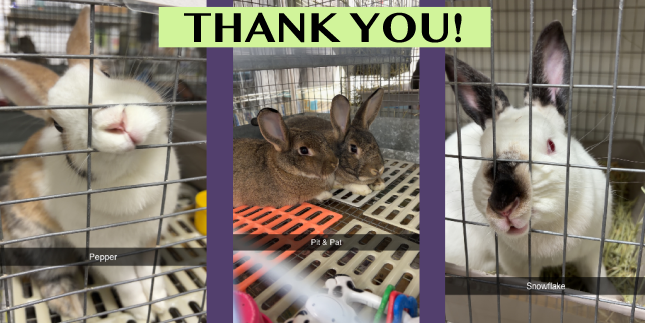Thank you for your support!