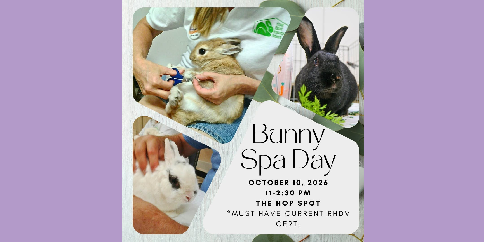 Bunny Spa Day: October 2026 - TAX FREE EVENT